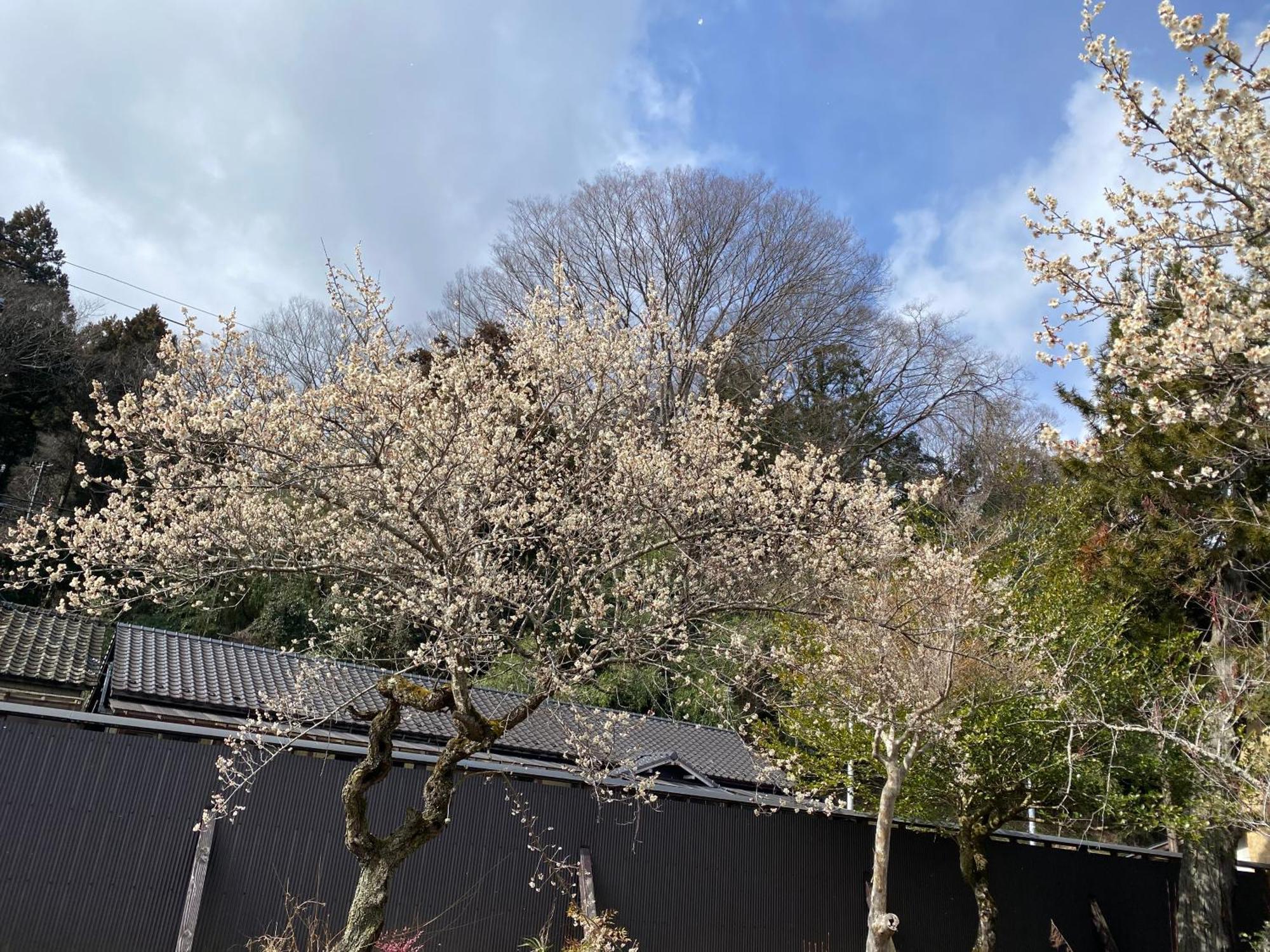 Takeyashiki たけやしき Casa de hóspedes Shiroishi  Exterior foto